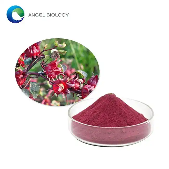 The Antioxidant Benefits of Hibiscus Flower Extract Powder for Heart Health
